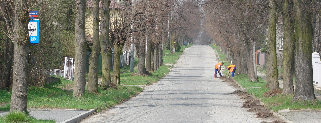 DROGI, CHODNIKI i PLACE>